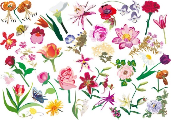 Various Flowers - http://www.webdesignhot.com/category/free-vector-graphics/